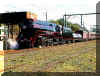 Black 3801 - 1.jpg (31166 octets)