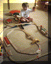 Train_en_bois_Brio.gif (56328 octets)